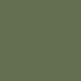 Carp Porter Spray Paint 400ml | Monster Carp Green | Rust-Proof Finish Fishing gear spray paint in Monster Carp Green – rust-resistant and ideal for barrows, rods, and frames.