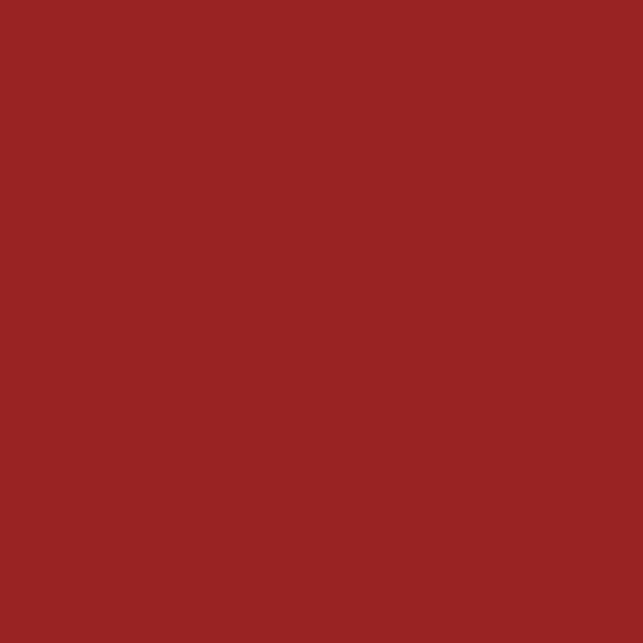 Signal red RAL 3001 Leather Paint Monstercolors