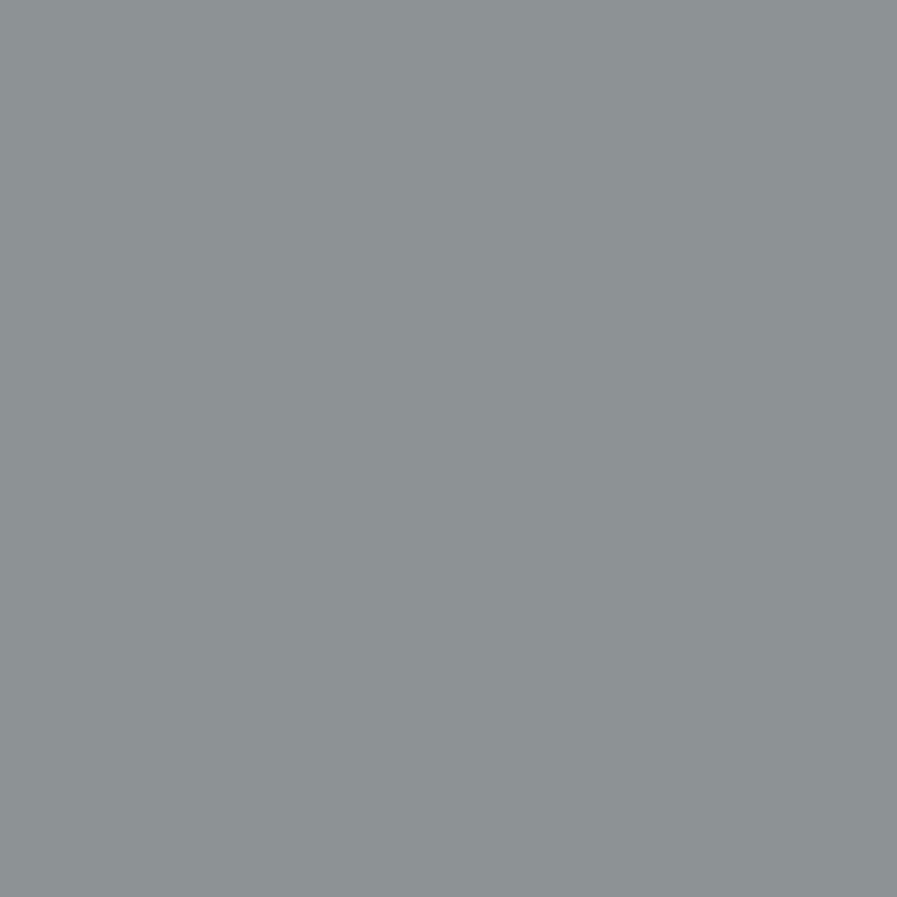 Telegrey 1 RAL 7045 Leather Paint Monstercolors
