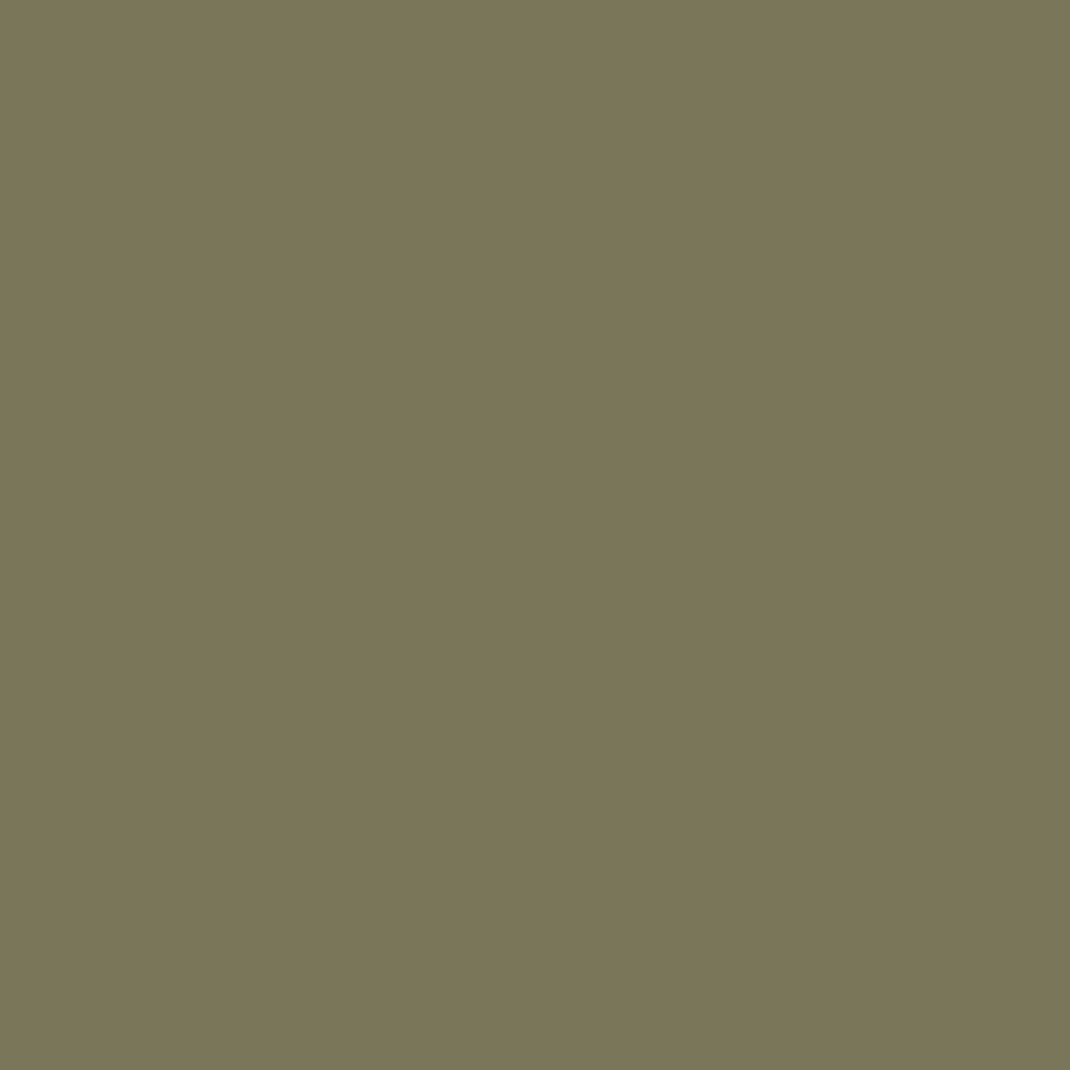 Camo Green Ral 6013 Monster Brush Or Spray Paint Monstercolors