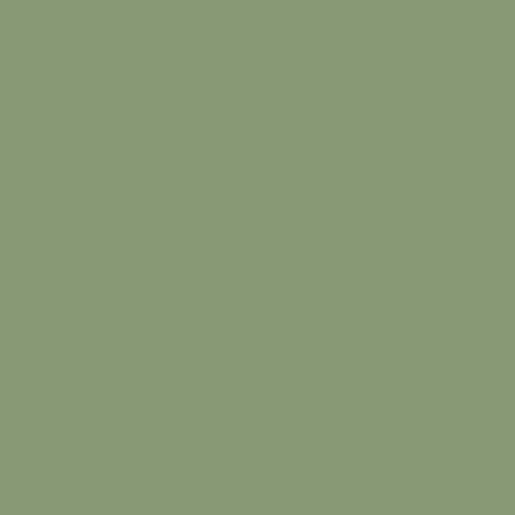 Pale Green Ral 6021 Monster Brush Or Spray Paint Monstercolors