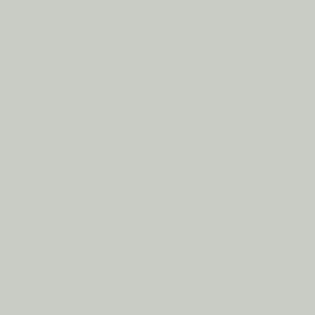 Papyrus white RAL 9018 Leather Paint Monstercolors