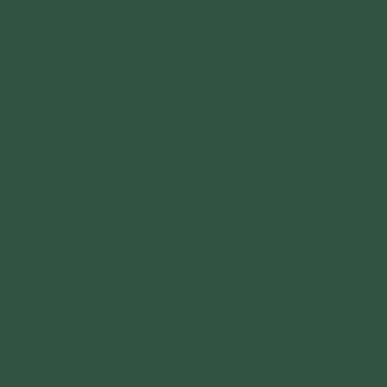 Pine green RAL 6028 Leather Paint Monstercolors