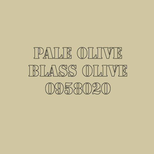 Blass Olive Pale Olive 0958020 Monster Brush Or Spray Paint Monstercolors