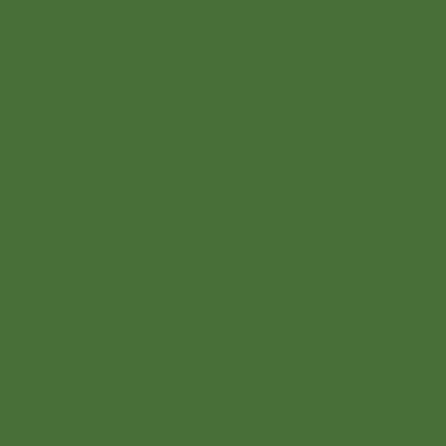 Grass green RAL 6010 Monster Brush Or Spray Paint Monstercolors