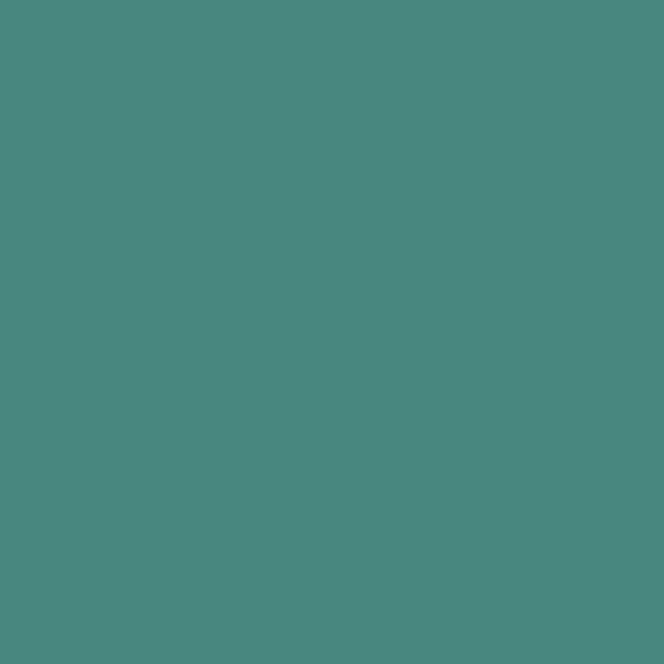 Mint turquoise RAL 6033 Leather Paint Monstercolors