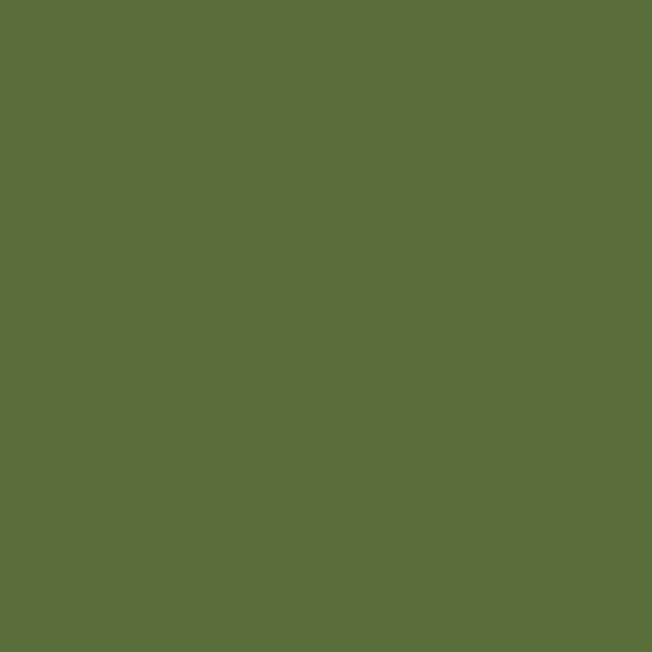 Fern green RAL 6025 Leather Paint Monstercolors