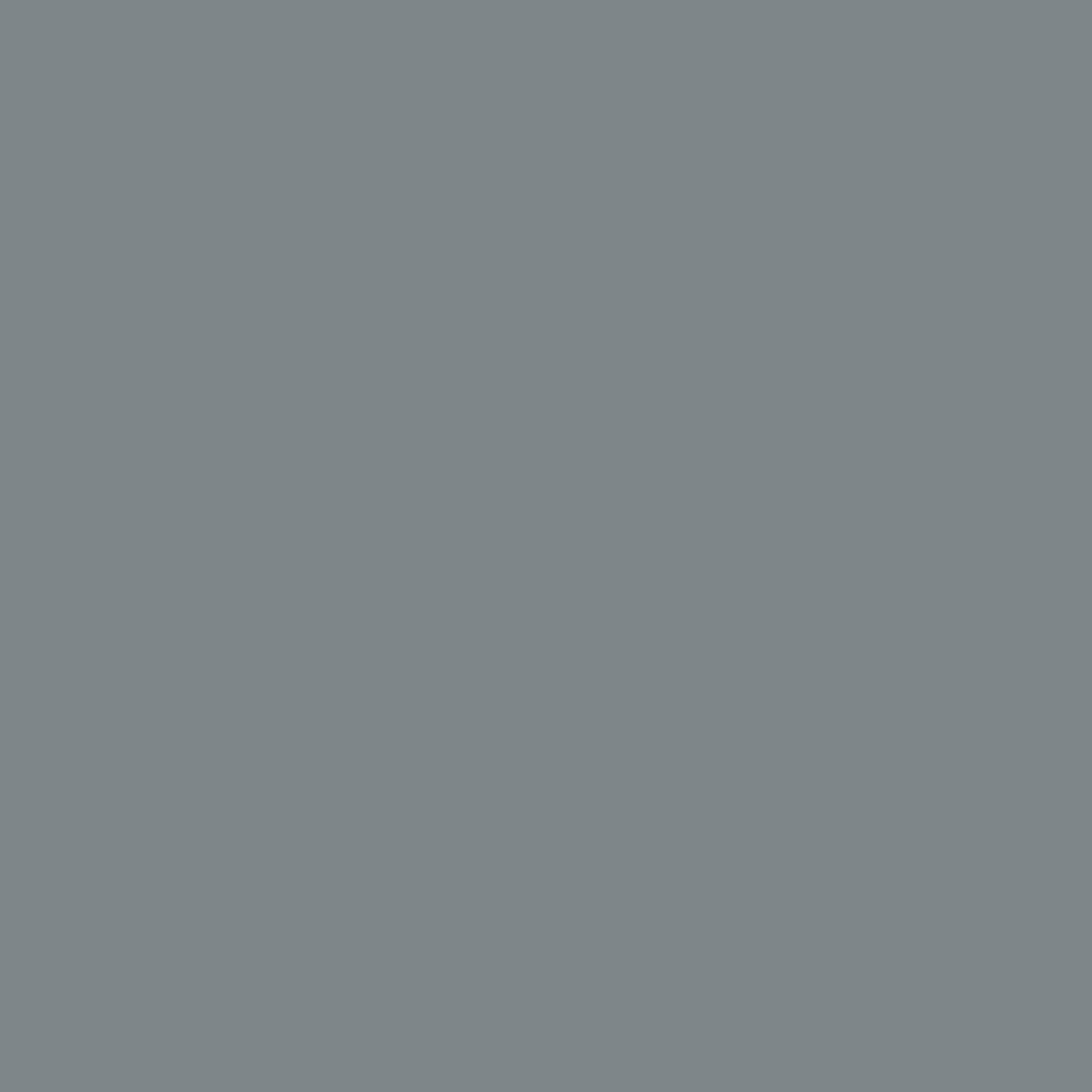 Telegrey 2 RAL 7046 Leather Paint Monstercolors