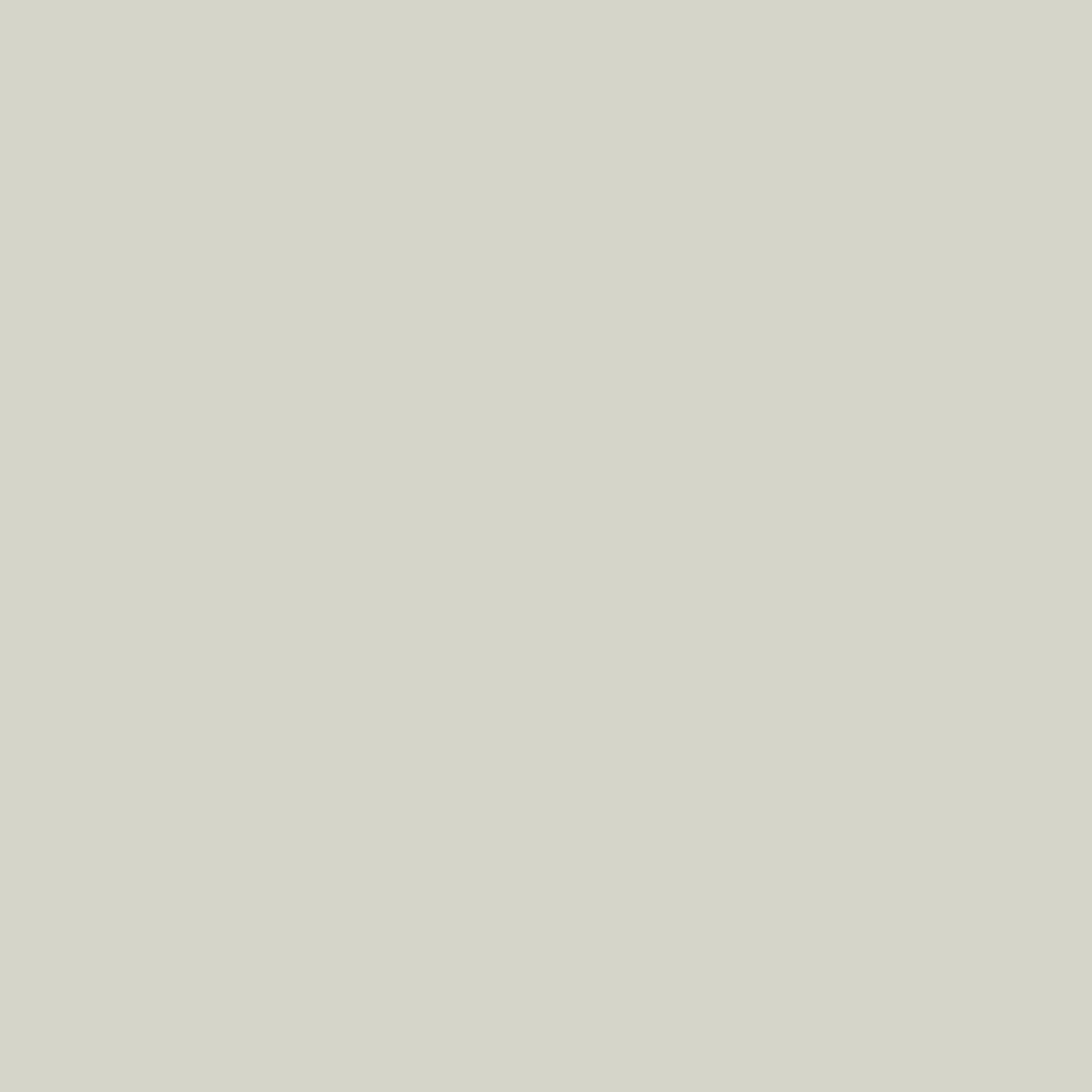 Grey white RAL 9002 Leather Paint Monstercolors